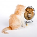 Visibilité et crédibilité